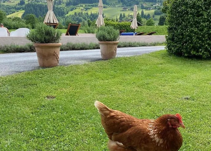 Angerhof * Bad Hofgastein