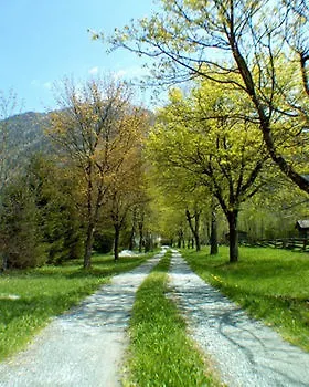 Angerhof Bad Hofgastein